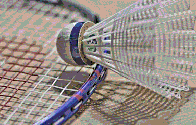 Logo du Badminton Club Champéry