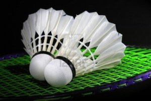 Logo du Badminton Club Leytron