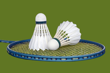 Logo du Badminton Club Savièse