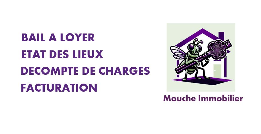 Logo Mouche Immobilier